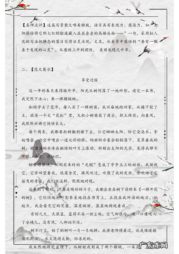 最新初中语文：优秀作文范文精选20篇！含有点评，给孩子借鉴学习 作文大全初中