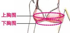 胸罩怎么分大小等级