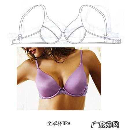 胸罩怎么分大小等级