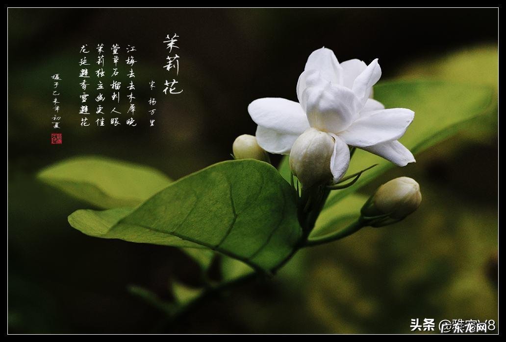 横梁压书桌有什么不好吗 横梁压书柜风水好吗好不好