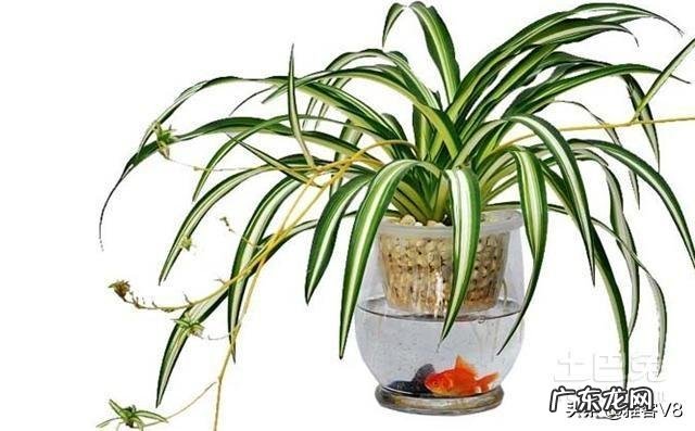 横梁压书桌有什么不好吗 横梁压书柜风水好吗好不好