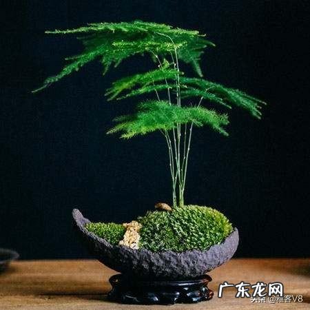 横梁压书桌有什么不好吗 横梁压书柜风水好吗好不好