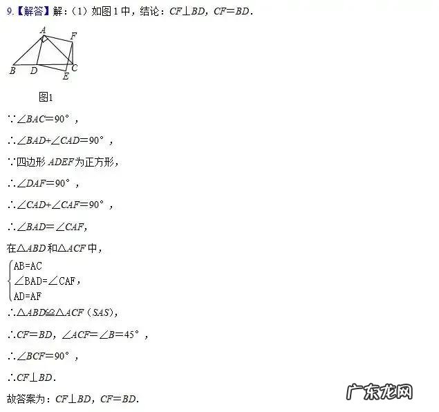 九年级寒假作业答案2022 九年级寒假作业答案2021