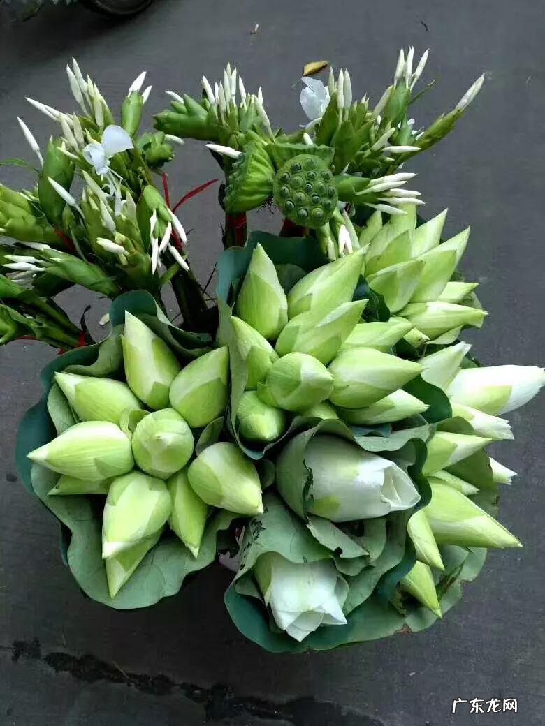 2022年广东揭阳中考时间 揭阳中考总分