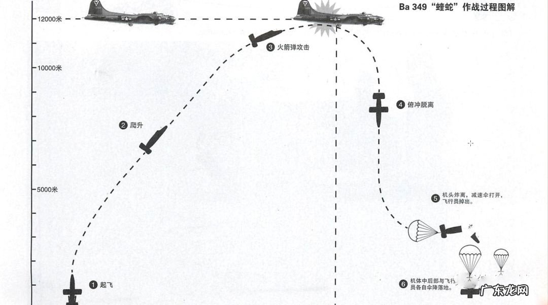蛇女怎么出装 蝮蛇出装备