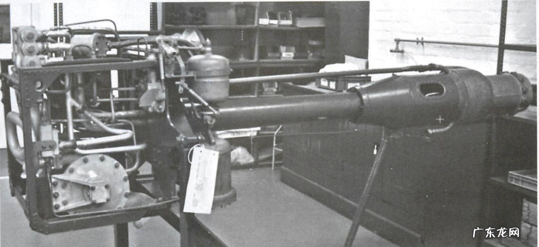 蛇女怎么出装 蝮蛇出装备