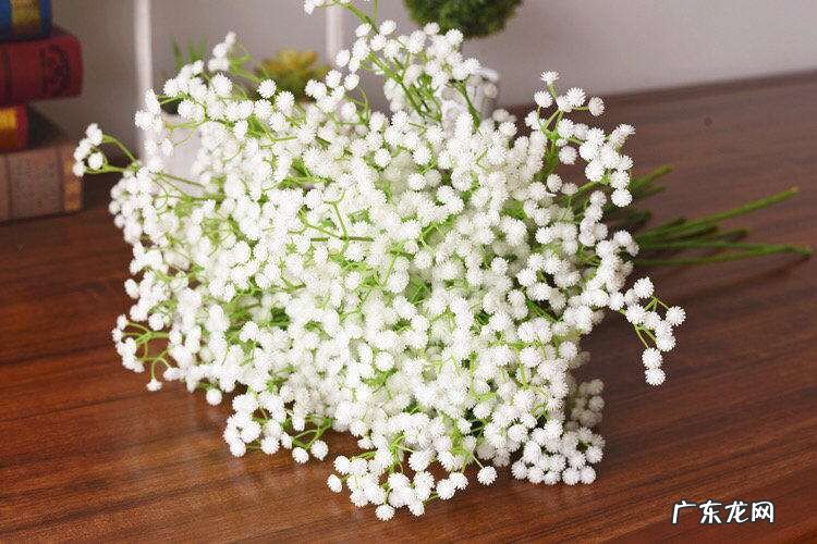 满天星花发朋友圈的句子