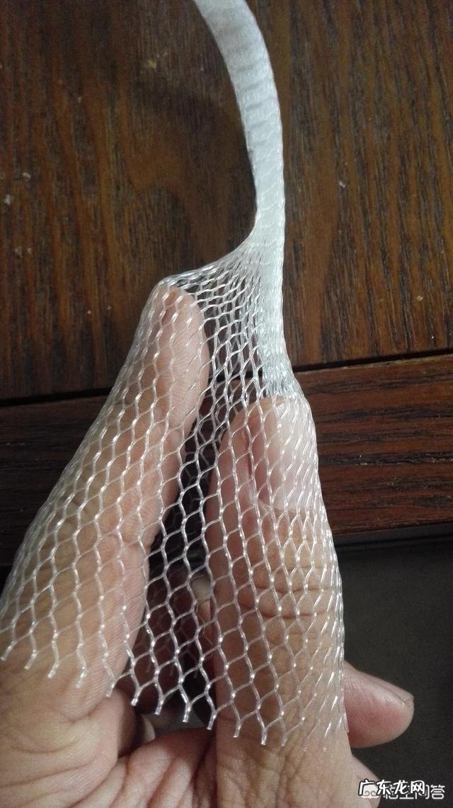 情人节有些花店里卖的所谓的玫瑰是什么品种的月季?怎么分辨真假“玫瑰”?