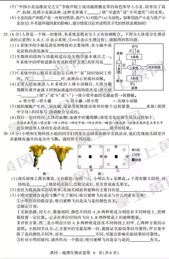 2022黄冈市中考方案 黄冈中考精典答案