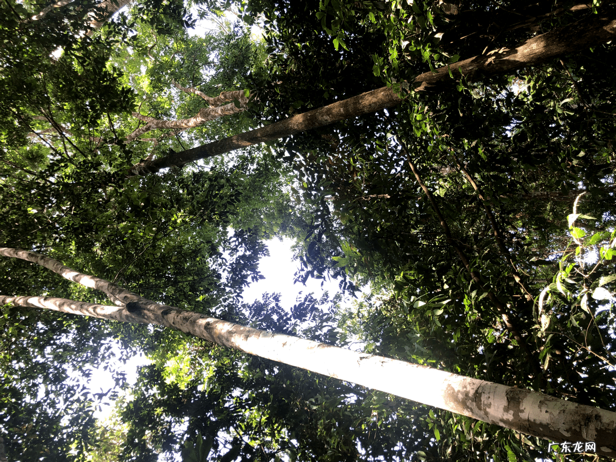 和尚和猴什么寓意 和尚 猴子