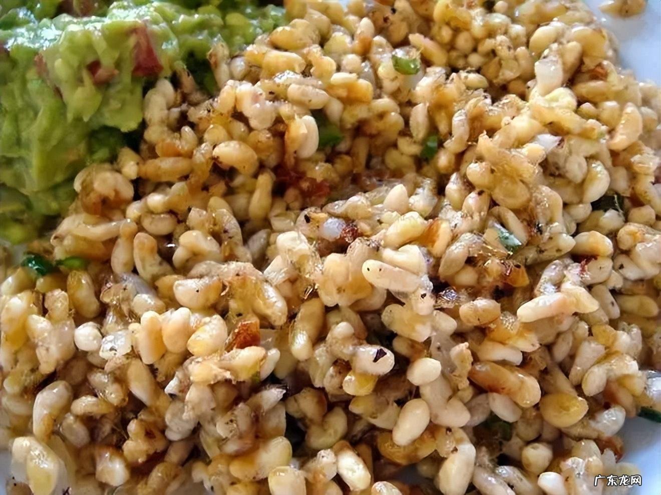 和尚和猴什么寓意 和尚 猴子