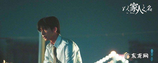 以家人之名电视剧插曲歌名