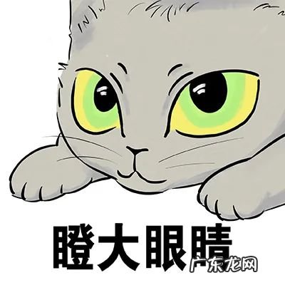 哪些购物软件可以货到付款 有哪些可以货到付款的购物网站