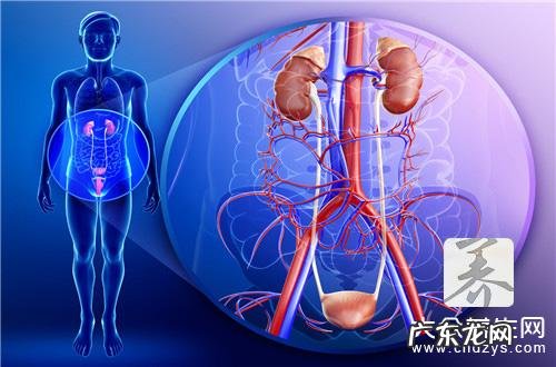 尿道损伤怎么查严重程度 尿道损伤怎样处理