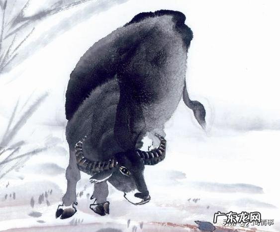 猴男与牛女配对好吗?