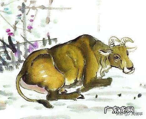 猴男与牛女配对好吗?