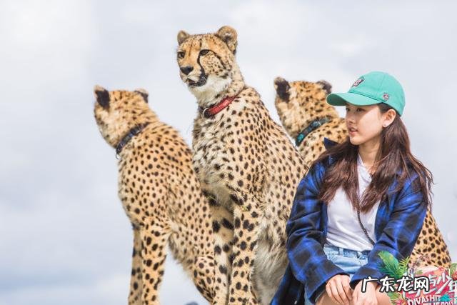 女孩子头发染什么颜色好看?