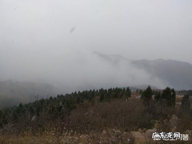 为什么做梦的感觉是身临其境,而想没有这种感觉?