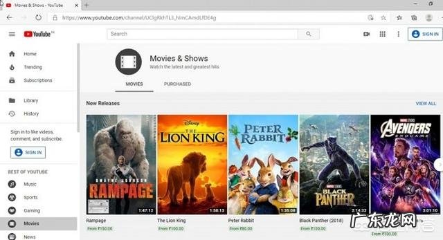 如何修复Chromium Edge更新后导致YouTube网站显示异常的问题?