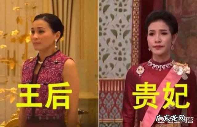 泰国王室的诗尼娜贵妃是因为什么原因被泰王玛哈·哇集拉隆功给废除了的?