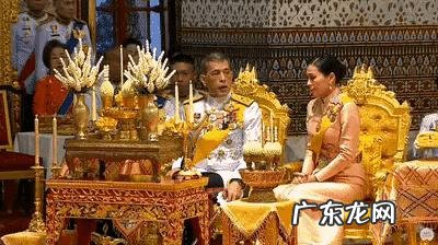 泰国王室的诗尼娜贵妃是因为什么原因被泰王玛哈·哇集拉隆功给废除了的?