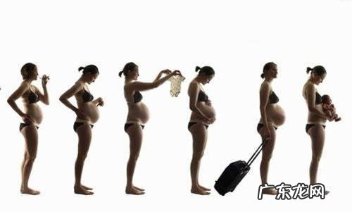 预产期怎么算才最准确?