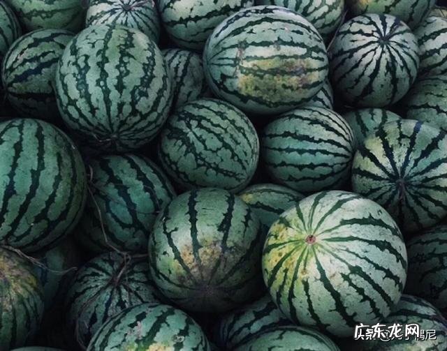 西瓜的营养成分有哪些?