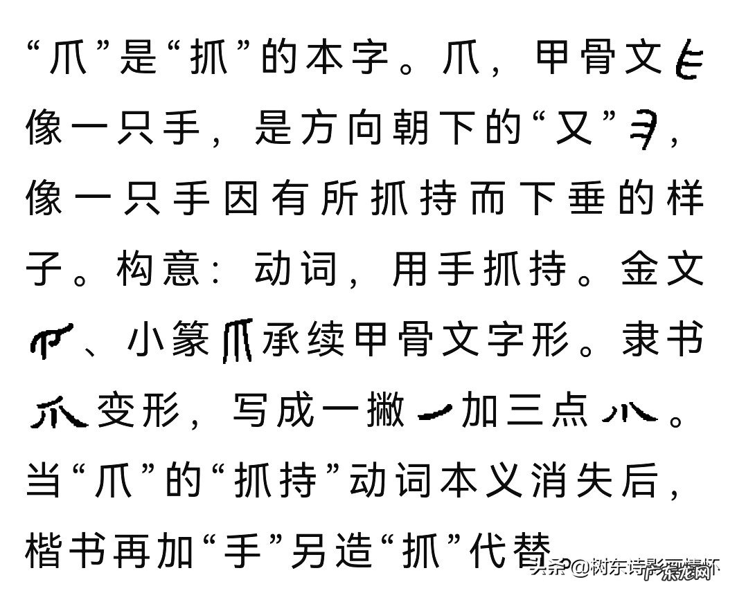 “爪”字的起源,“张牙舞爪”的历史出处 带有“爪”字的成语