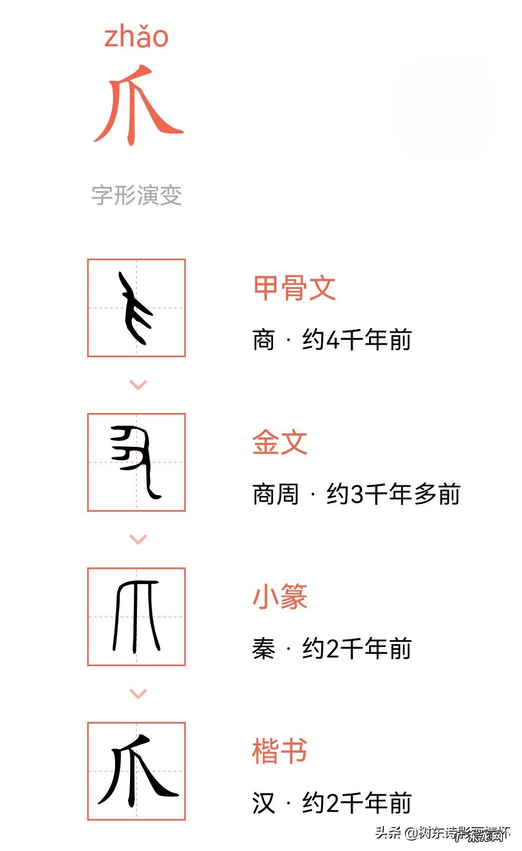 “爪”字的起源,“张牙舞爪”的历史出处 带有“爪”字的成语