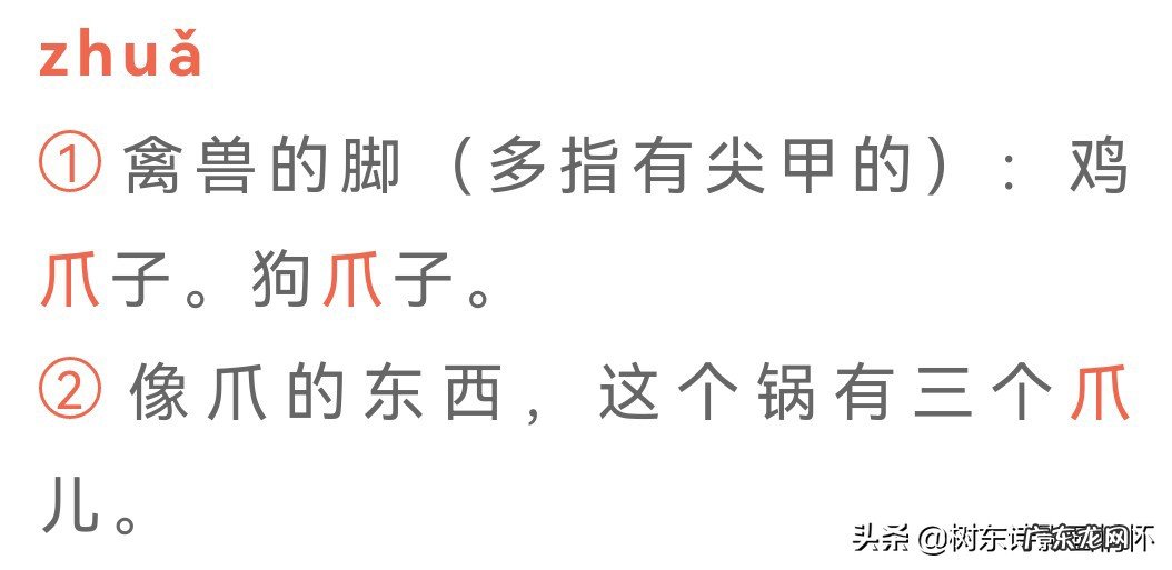 “爪”字的起源,“张牙舞爪”的历史出处 带有“爪”字的成语