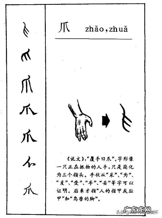 “爪”字的起源,“张牙舞爪”的历史出处 带有“爪”字的成语