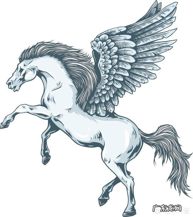 《山海经》中记载的异兽是真实存在的吗?还是古人凭空臆想出来的?