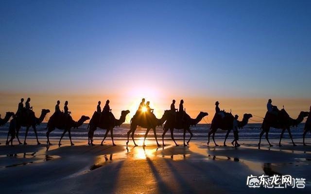 《山海经》中记载的异兽是真实存在的吗?还是古人凭空臆想出来的?