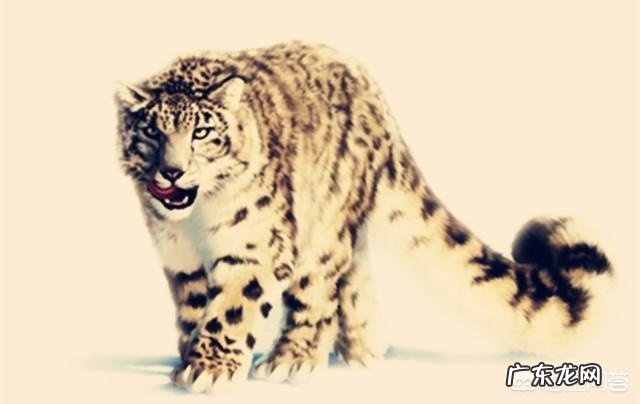 《山海经》中记载的异兽是真实存在的吗?还是古人凭空臆想出来的?