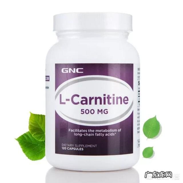 服用左旋肉碱来减肥,对身体有没有什么影响?