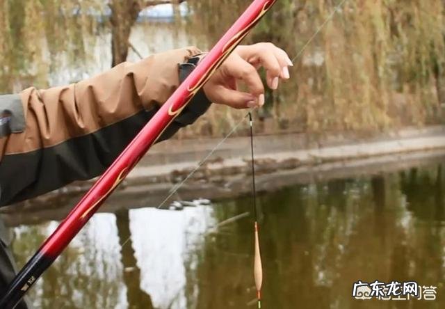 水库钓鲤鱼用哪些饵料?