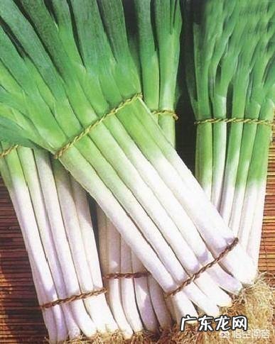 生吃大葱对身体好不好?