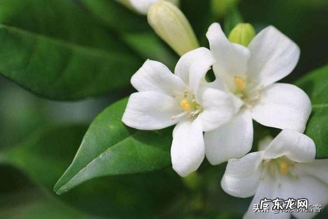 三十岁男人,没结婚,应该用什么牌子的香水?