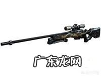 穿越火线里，新手用什么英雄级武器最好？