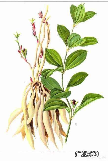 头皮屑怎么去除?