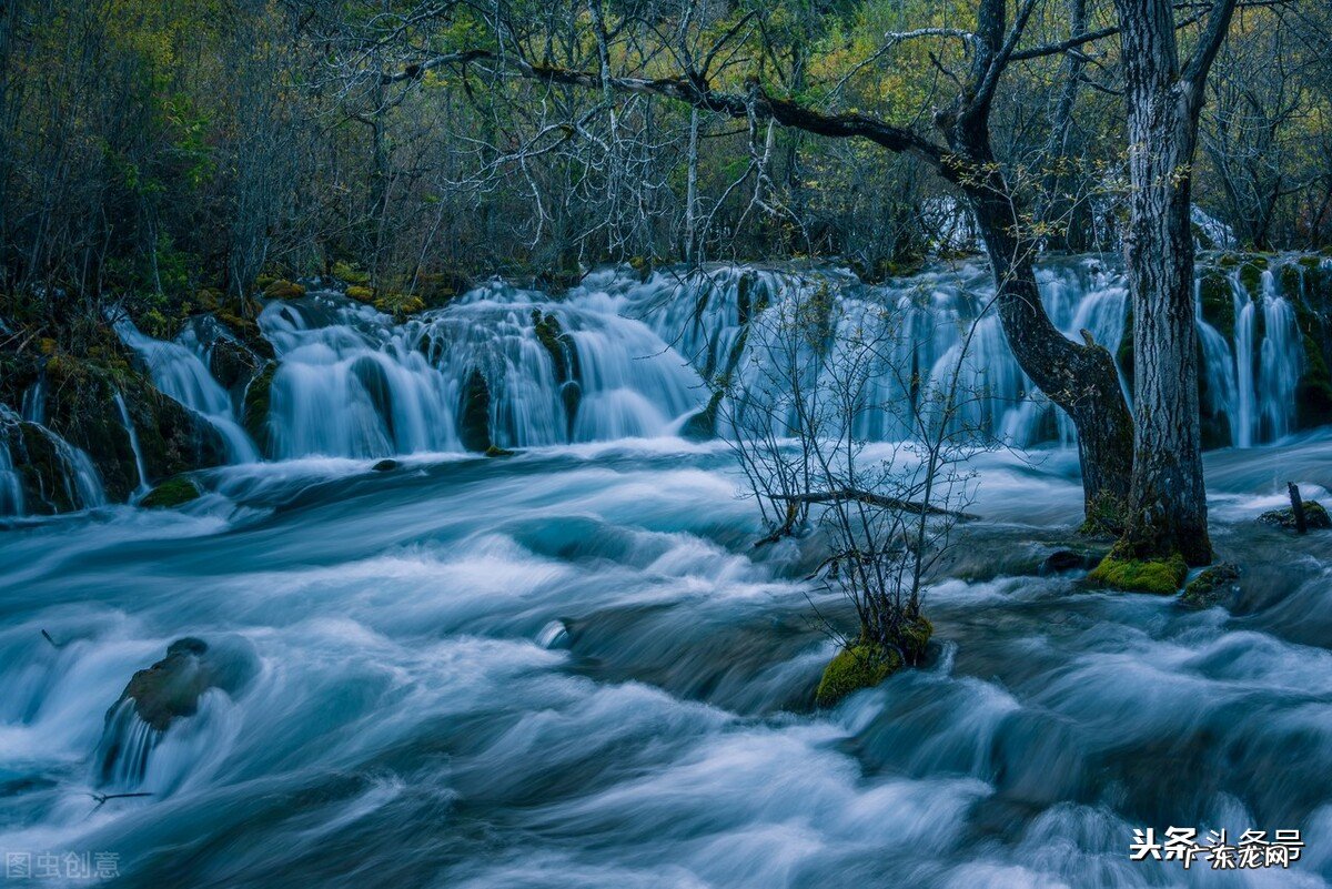 秋天的句子怎么写 关于描写秋天的句子有哪些