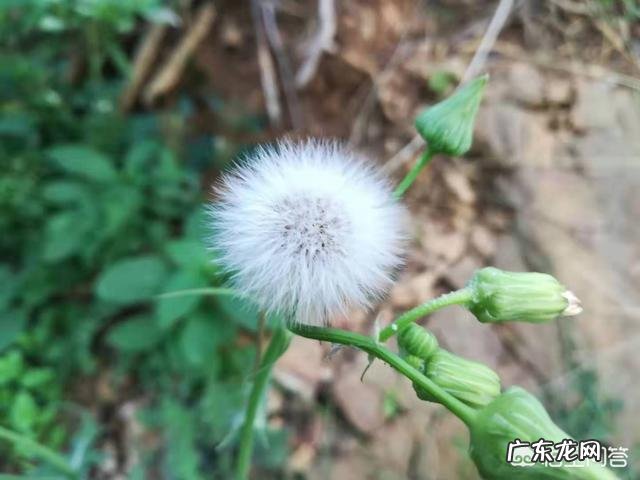 世态炎凉是很正常的事，我觉得不需要再过分夸大解读，你觉得呢？