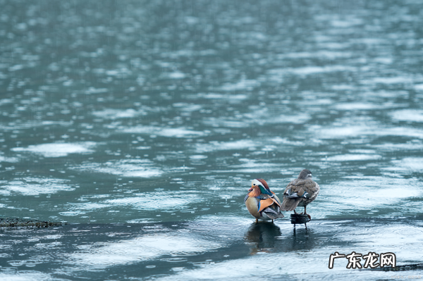 巴金三部曲是哪三部曲 巴金三部曲