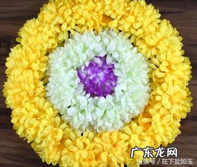 清明雨上歌词解析 清明雨上歌词大意