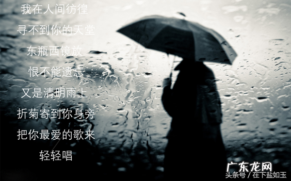 清明雨上歌词解析 清明雨上歌词大意