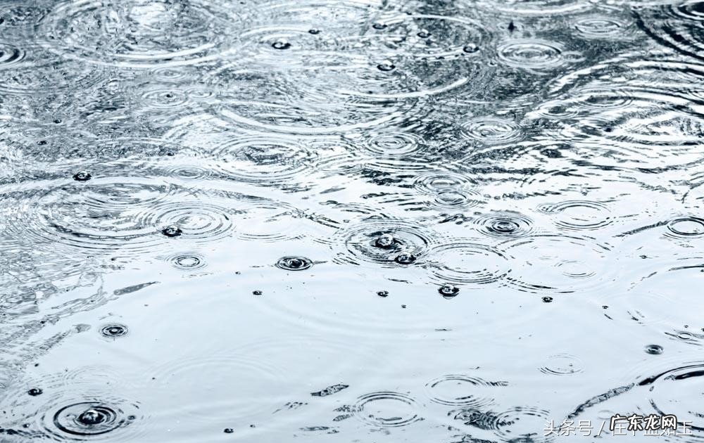 清明雨上歌词解析 清明雨上歌词大意