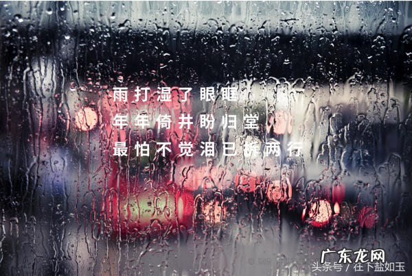 清明雨上歌词解析 清明雨上歌词大意