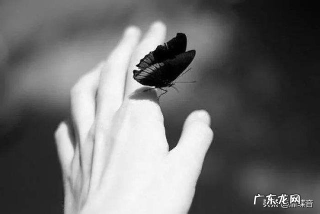 年轻人应该如何处理自己的焦虑情绪？