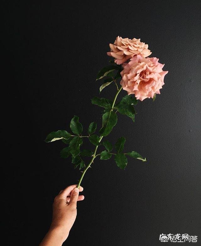 年轻人应该如何处理自己的焦虑情绪？