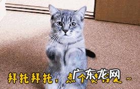 PDD尚未开播先被超管警告,原因是“衣着暴露”,网友调侃骚猪过分了,你有何看法?